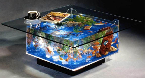 9 Cool Home Aquariums | Spot Cool Stuff: Design