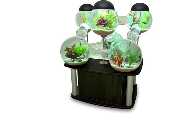 9 Cool Home Aquariums