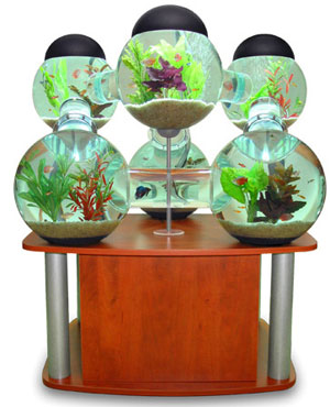 Aquarium Decoration Ideas on Cool Home Aquariums   Spot Cool Stuff  Design