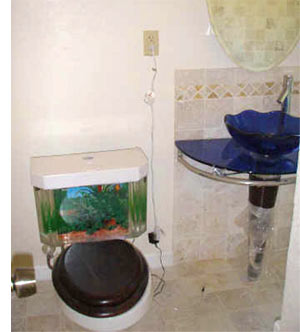 Cool Aquariums: Fish & Flush Toilet