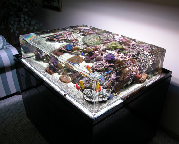 Cool Aquariums: Zero Edge