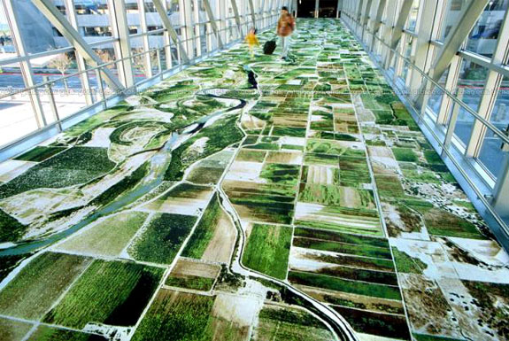 Google Earth Carpets