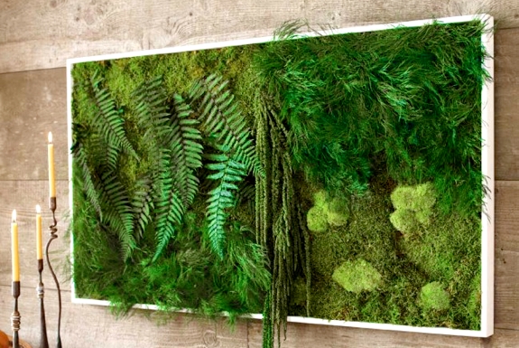 Fern and Moss Wall Art